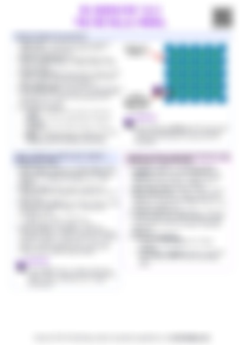 IB Chemistry S2.3 The metallic model — cheatsheet preview