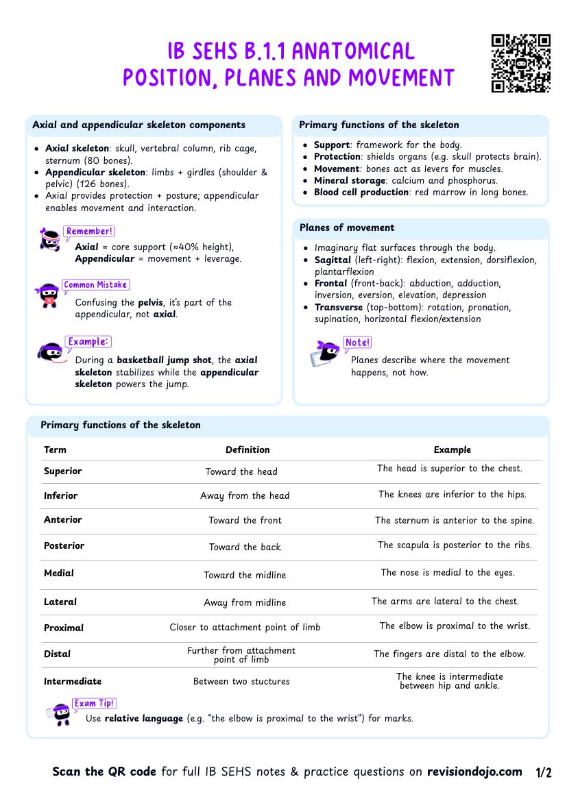 IB SEHS B.1.1 Anatomical position, planes and movement Cheatsheet