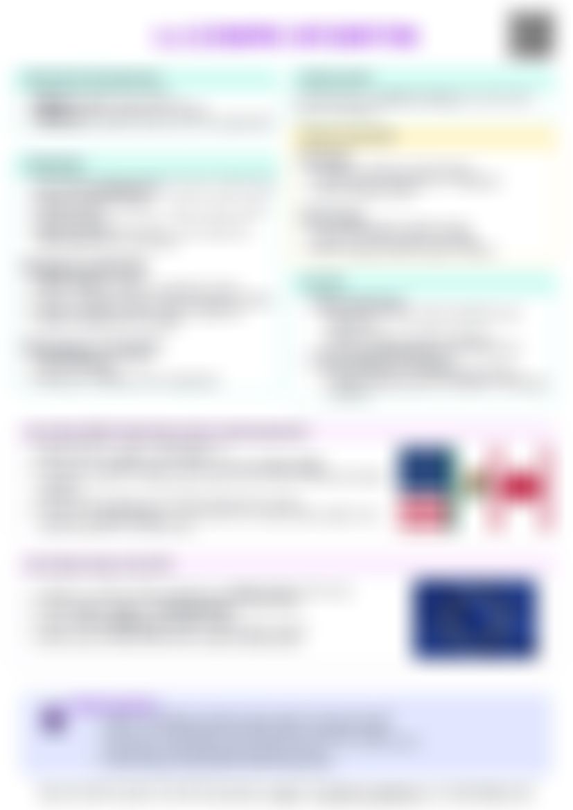 IB Econ 4.4 Economic Integration Cheatsheet — cheatsheet preview