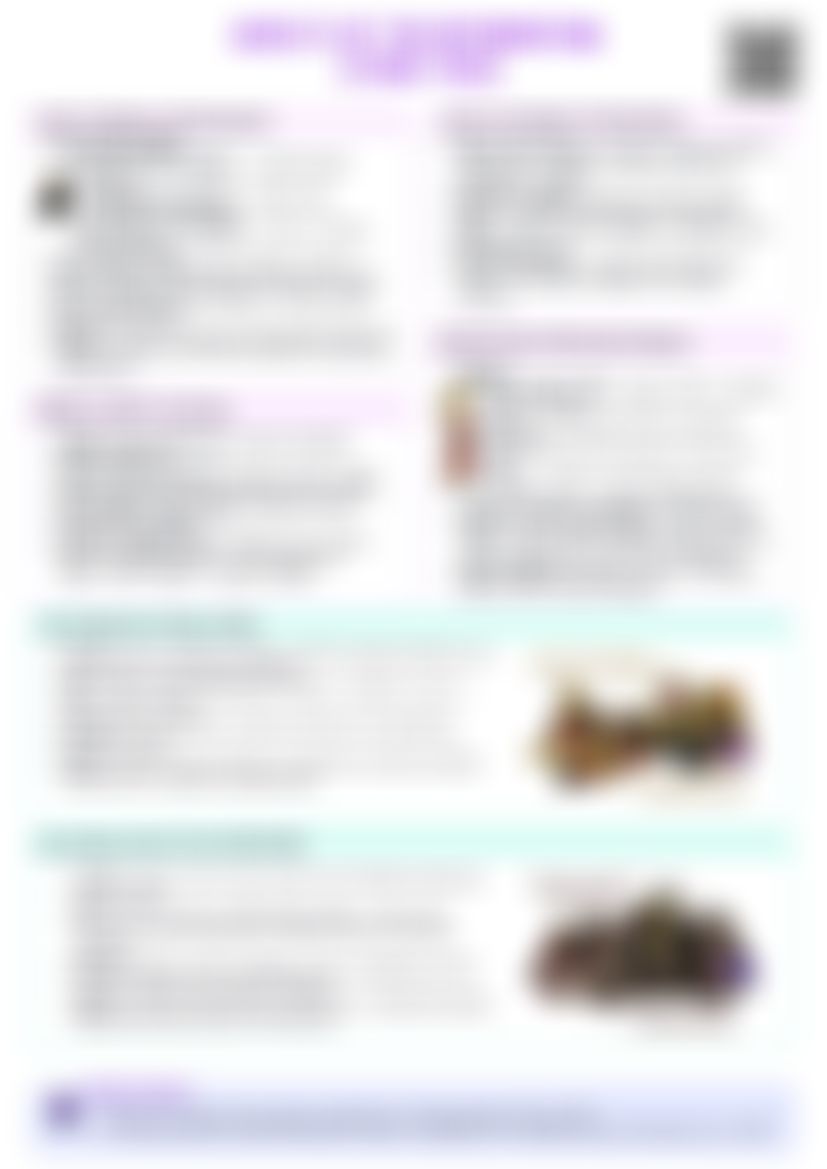 IB History: Section 6 - Aspects of the Reformation (c1500–1563) — cheatsheet preview