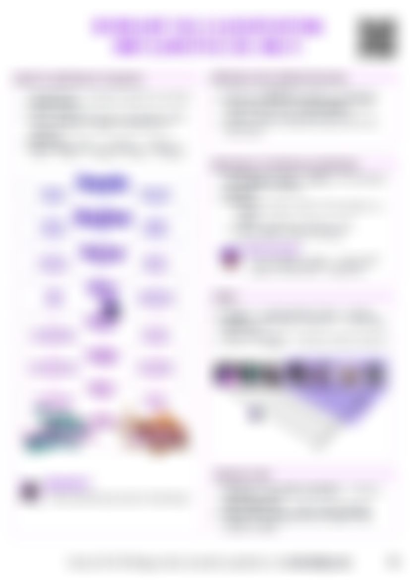IB Bio A3.2 Classification and cladistics Cheatsheet (HL) — cheatsheet preview