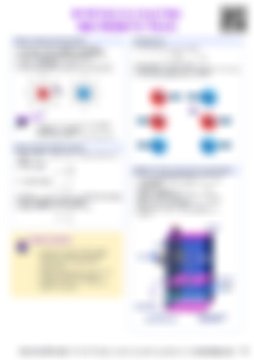 IB Physics D.2 Electric and magnetic fields — cheatsheet preview