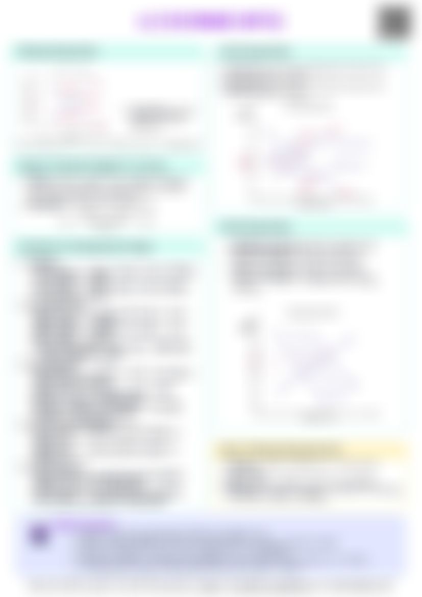 IB Econ 4.5 Exchange Rates Cheatsheet — cheatsheet preview