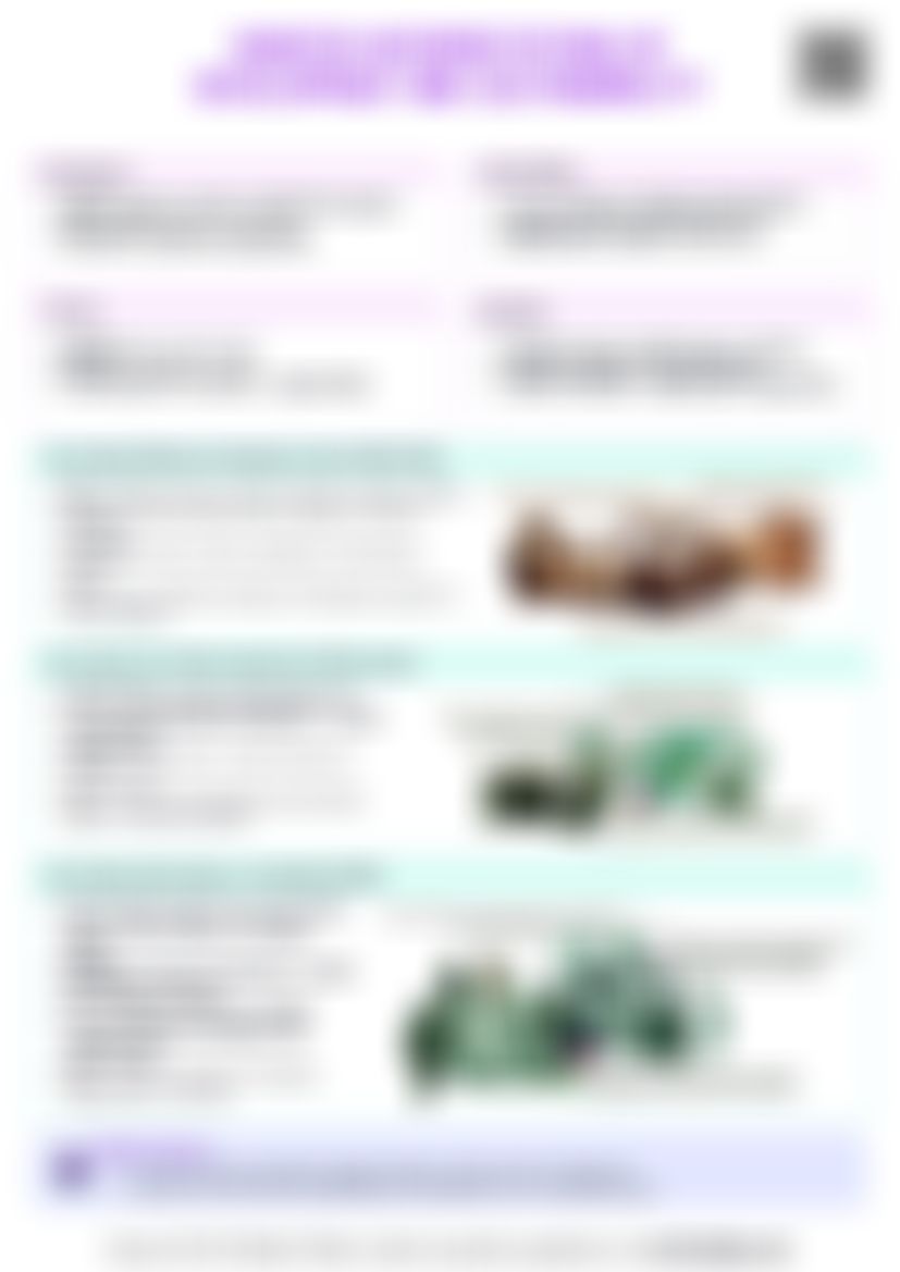 IB Global Politics 3.1 Debated Interpretations of Development and Sustainability Cheat Sheet — cheatsheet preview