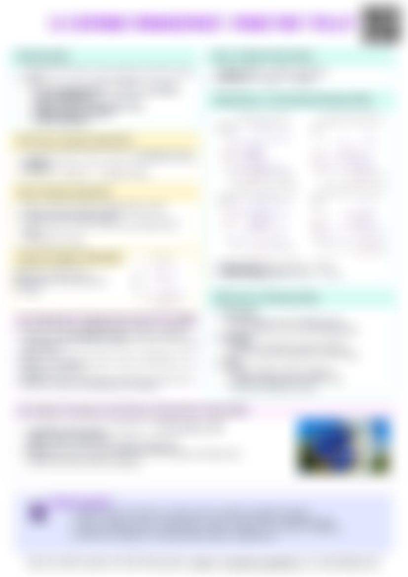 IB Econ 3.5 Demand management - Monetary policy Cheatsheet — cheatsheet preview