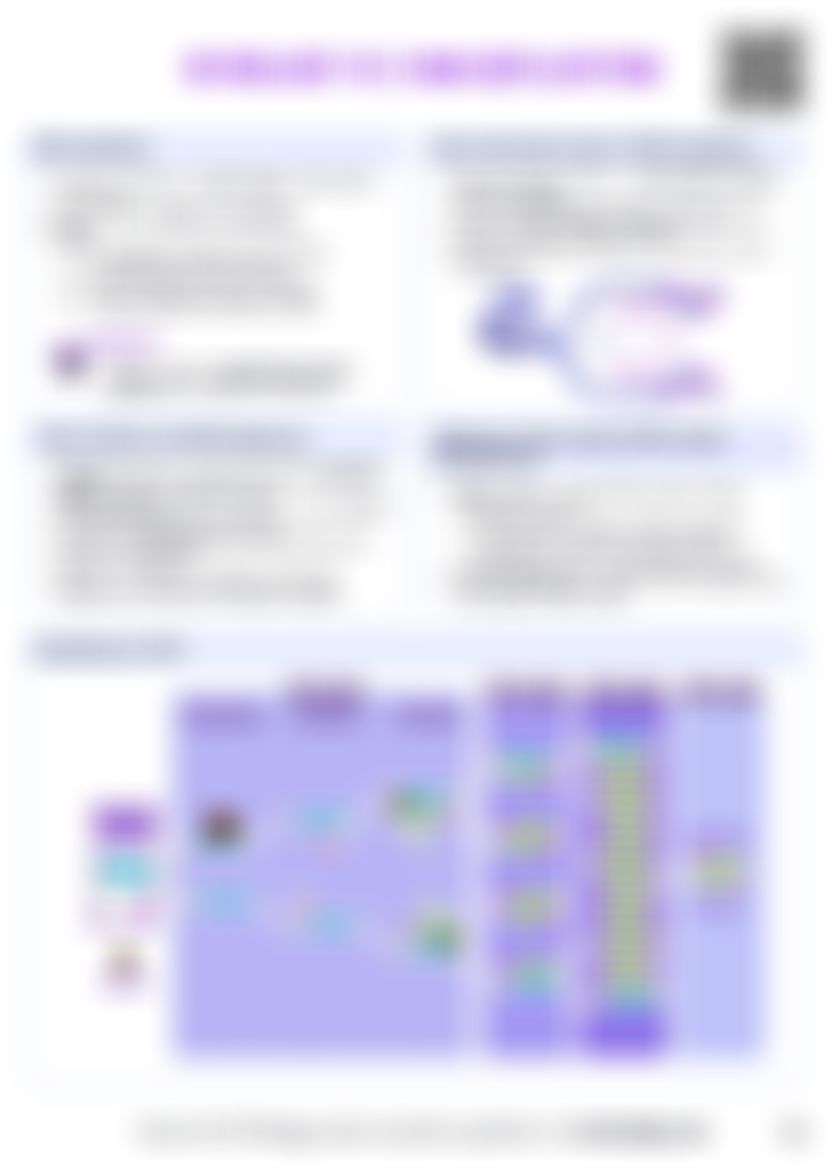 IB Bio D1.1 DNA replication Cheatsheet — cheatsheet preview